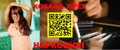 сатива Новокубанск