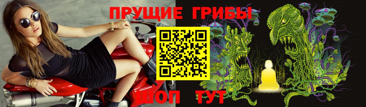 Псилоцибиновые грибы Cubensis Тимашёвск