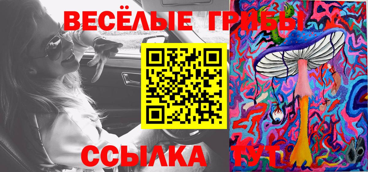 Тимашёвск  Псилоцибиновые грибы прущие грибы  Галлюциногенные грибы мухоморы  Вход с VPN 